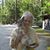 Nancy Waugaman's profile image