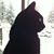 Tricia Golden's profile image