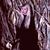 Sandra De Leonardis's profile image