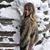 Kaley Sierra Coston's profile image