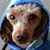 Francine Makuh's profile image