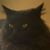 Rob Lowghos's profile image