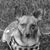 Linda Helsel's profile image