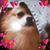 Kim Foster's profile image
