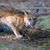 Catherine Wood's profile image