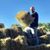 Curt Cook's profile image