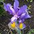 Michelle Whittlesey's profile image