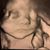 Sharon Stamper's profile image