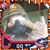 Michael Hornacek's profile image