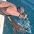 Shay Randrup's profile image