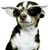 Abby King Morton's profile image