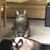 Judy Anderson's profile image