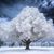 Kate Wickstrom's profile image