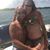 Brendan Welch Sr.'s profile image