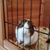 Kimberly Dawn Edwards's profile image