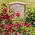 Alicia Wright-Philpott's profile image