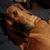 Tony Rust's profile image