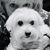 Tammy Petit Conway's profile image