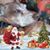Alyce Thompson Bachman's profile image