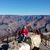 Lynne Mesey's profile image