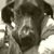 Joanna Phillips-Bidondo's profile image