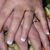 Ann Marie Babbitt's profile image