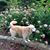 Gail Larsen's profile image