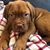 Christine Munier-Hickey's profile image