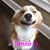Kelly Rose Wielechowski's profile image