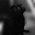 Sharon N Donny Anderson's profile image