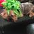 Pam Ahlert Doty's profile image