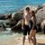 Brittani Noel Phillips's profile image