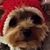 Lori Haynes Papa's profile image