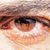 Herb Gentle's profile image