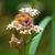 Elene Thatsallshewrote's profile image
