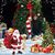 Debra Lachance's profile image