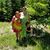 Nora Cranfield-thomson's profile image