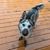 Diane P. Feeney's profile image