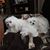 Sherrie Galle Parker's profile image