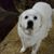 Sally Terman Cohan's profile image