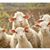 Debra Hale Davenport's profile image
