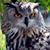Chris Rick Roberson's profile image