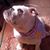 Martine Cantler's profile image