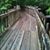 Dalila D Nasseri's profile image