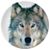 Lobo Solitario's profile image