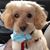 Penny Hanes's profile image