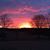 Susan Chumley Cox's profile image