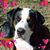 Glen QuiltSwissy's profile image