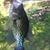 Kristi Sharpe's profile image