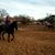 Tracy Lee Stearns's profile image